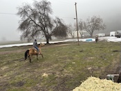 2024-12-2010-10-45.jpeg