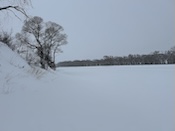 2025-02-1611-24-46.jpeg