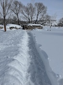 2025-02-1711-13-15.jpeg