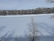 2025-02-1711-13-42.jpeg