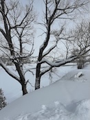 2025-02-1812-47-09.jpeg