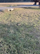 2026-07-1820-04-55.jpeg
