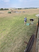 2026-07-2017-14-38.jpeg