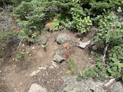 2026-07-2512-50-34.jpeg