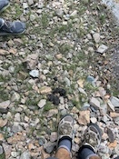 2026-07-2613-30-32.jpeg