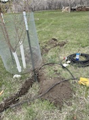 2025-04-2713-27-47.jpeg