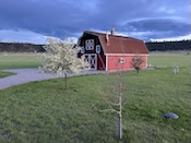 2025-05-1120-43-48.jpeg