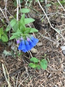2025-05-1213-55-42.jpeg