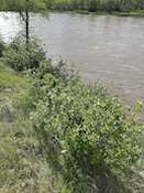 2025-05-1218-13-22.jpeg