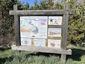 2026-05-2509-27-20.jpeg