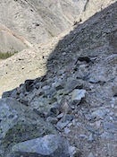 2026-05-2512-42-29.jpeg